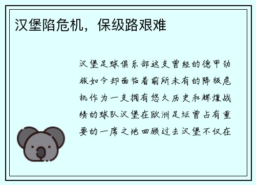 汉堡陷危机，保级路艰难