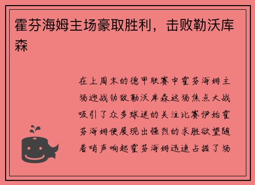 霍芬海姆主场豪取胜利，击败勒沃库森